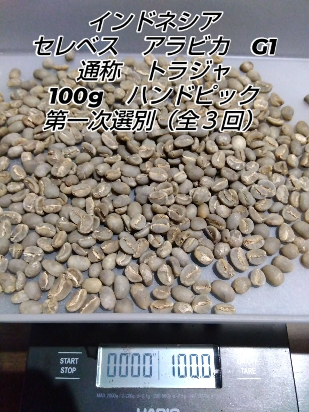 インドネシアセレベスアラビカG1通称トラジャ