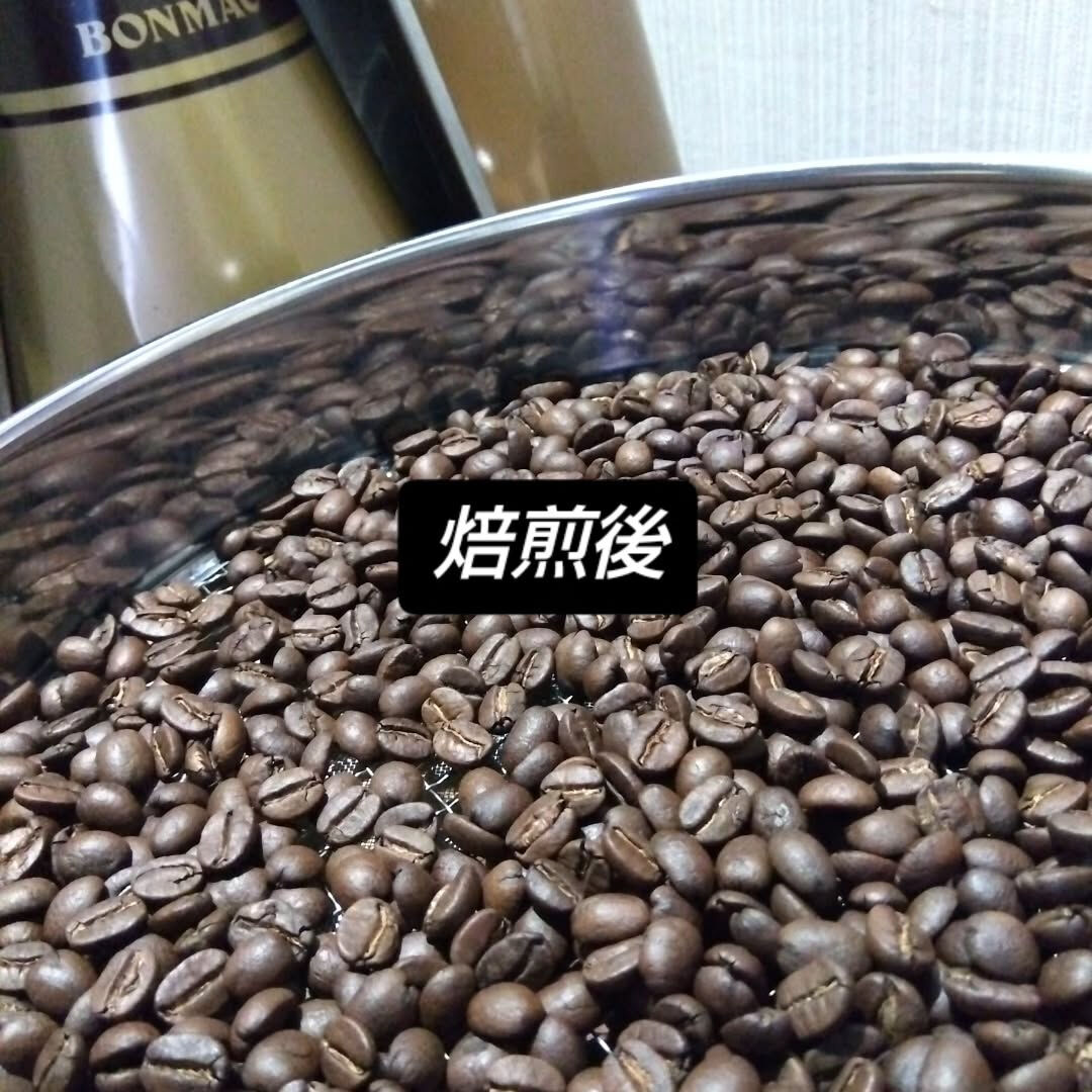 「こんなに綺麗な珈琲豆見たことない！」