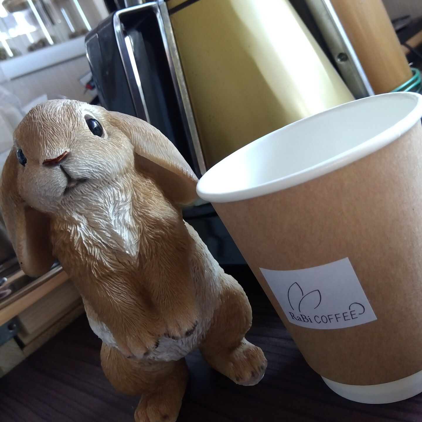 コーヒーを飲むと頭痛がする…そんな悩みをお持ちの方、ご安心く