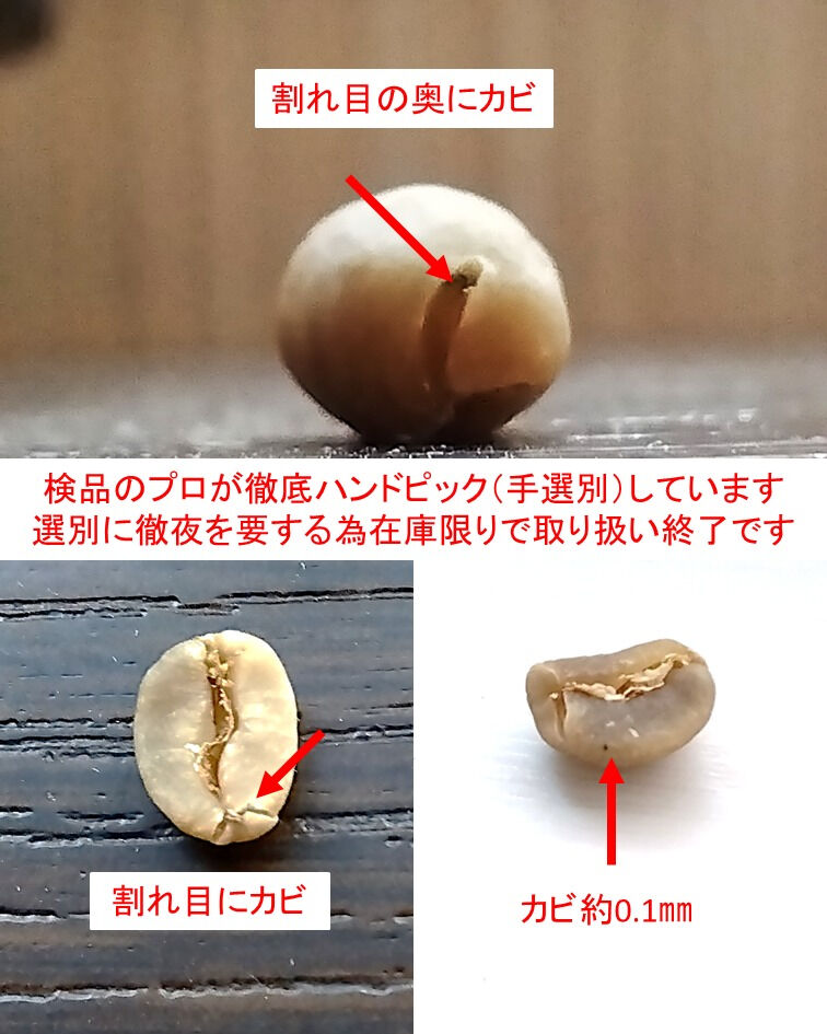 在庫限りで「インドネシア・マンデリン・シナール」の取り扱いを