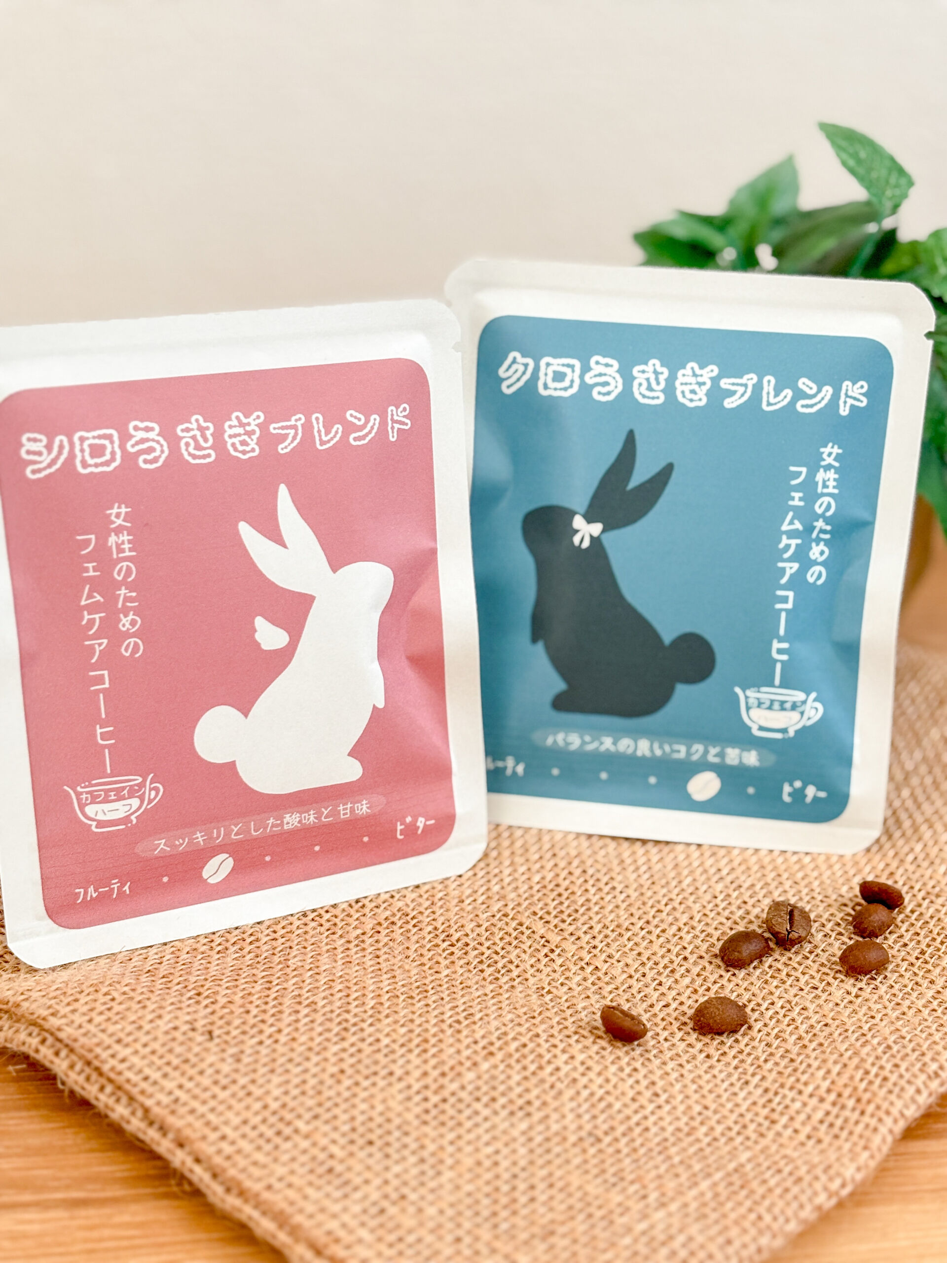 🎉今週土曜日10月24日は、11時から16時までオープンしま